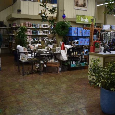 Interior view of a store with home decor items, plants, and shelves filled with various products.