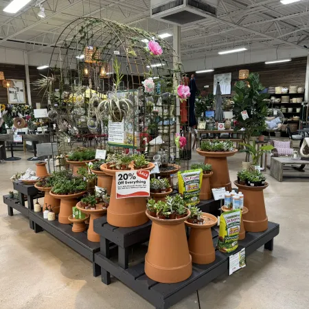 Indoor garden center display with terracotta pots, succulents, and a 20% off sale sign on a black platform