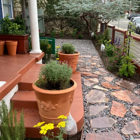 Stone and pebble pathway next to terracotta pots with plants leading to a porch with steps and a wire fence.