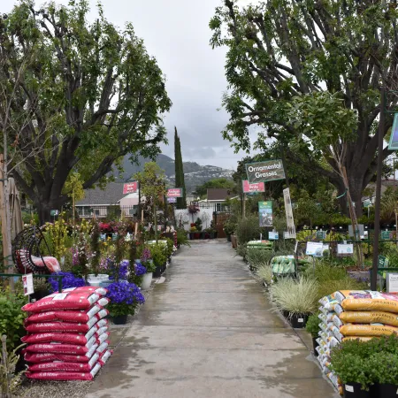 Outdoor nursery aisle with stacks of soil bags, flowering plants, and signs for Perennials and Ornamental Grasses.