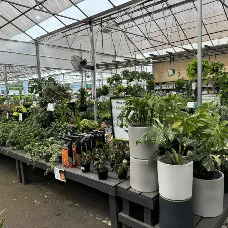 Indoor nursery section with various green houseplants in pots displayed on tables under a glass roof.