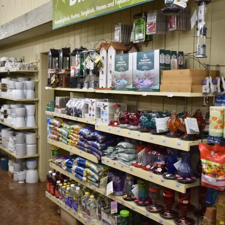 Shelves stocked with bird feeders, seeds, and supplies in a store under a large Birds sign.
