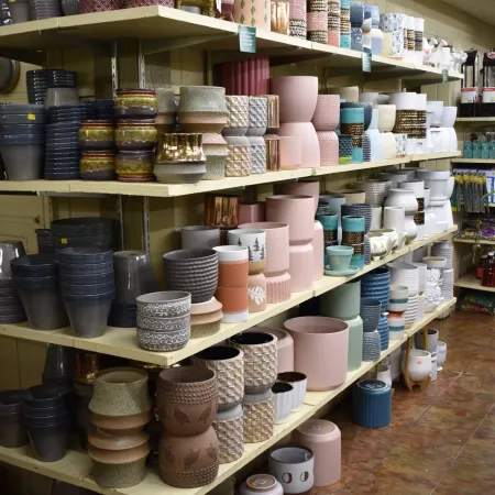 Shelves filled with various decorative ceramic and plastic plant pots in different sizes and patterns.