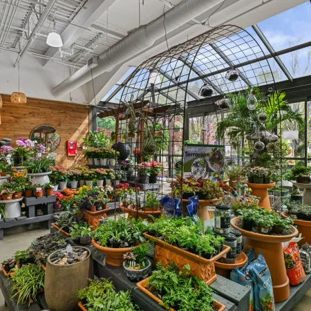 Bright indoor garden center with potted plants, flowers, hanging terrariums, and natural light from large windows.