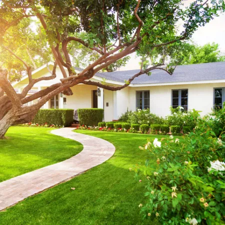 Sunlit suburban home with curved stone walkway, large tree, manicured lawn, and flowering bushes in front yard