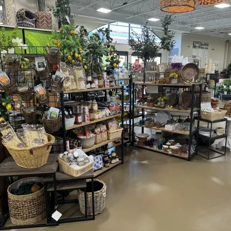Interior of a store with shelves displaying gourmet food, kitchenware, plants, and decorative baskets.