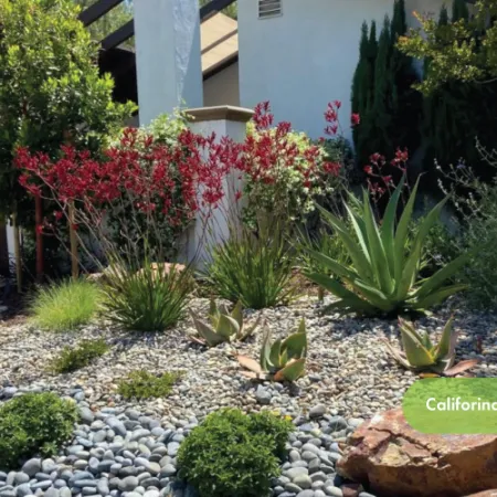 Drought-tolerant California Mediterranean garden with succulents, stones, and drought-resistant plants outside a home.