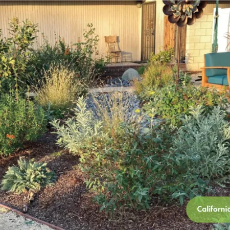 Sunny backyard garden with lush green plants, a gravel pathway, wooden chair with teal cushions, and warm light.