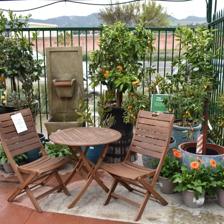 Wooden table and chairs set surrounded by potted citrus trees and vibrant orange flowers on patio.
