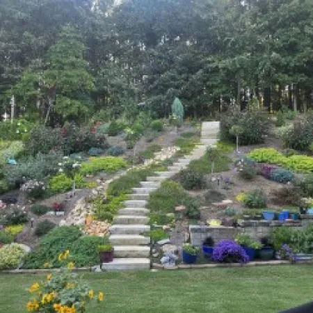 Terraced garden on a hillside with stone stairs leading through colorful flowers and greenery toward a tree line.
