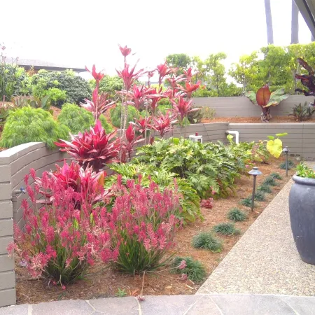 Vibrant garden with red and green foliage alongside a stone pathway and gray planter under a building overhang.