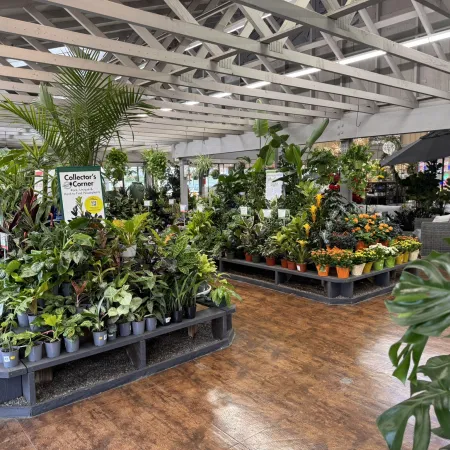 Indoor garden center with a variety of potted plants displayed under wooden beams and bright lighting.