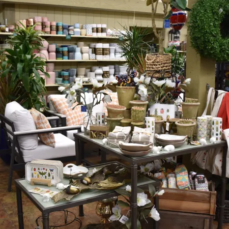 Decorative home goods and furniture displayed in a cozy store with plants and shelves of textiles