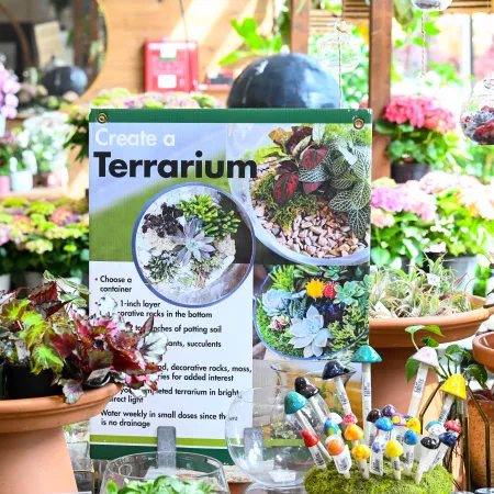 Terrarium creation instructions surrounded by potted plants, colorful mushroom decorations, and garden supplies.
