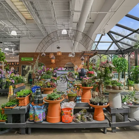 Bright garden center interior with diverse plants, flowers, terrariums, and supplies under natural skylight.