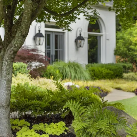 Lush garden with ferns, tree, and foliage in front of a white house with lantern-style wall lights.