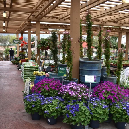 Outdoor garden center with colorful flowers, hanging plants, and gardening supplies under a wooden pergola.