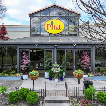 Pike Nurseries storefront with glass facade, plants, flowers, and a visible yellow and red sign above entrance.