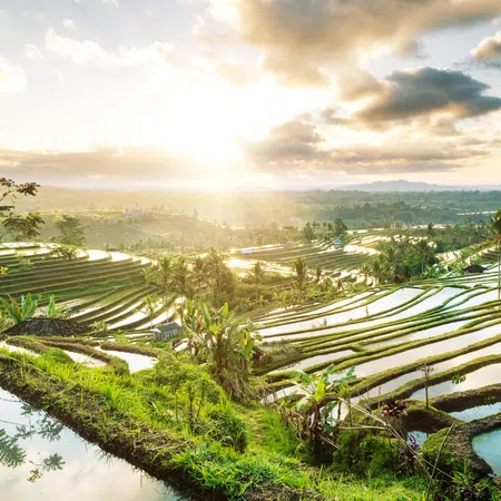 Sunlit rice terraces with reflective water and lush greenery under a partly cloudy sky during sunrise.