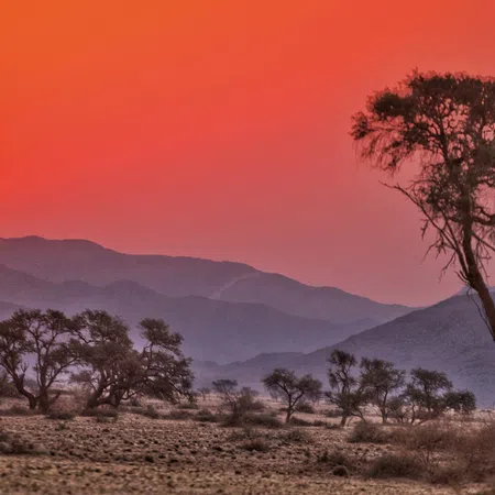 Sunset over a desert landscape with acacia trees and distant mountain ranges under a red-orange sky