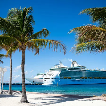 Cruise ship docked near tropical beach with palm trees and clear blue sky on a sunny day.