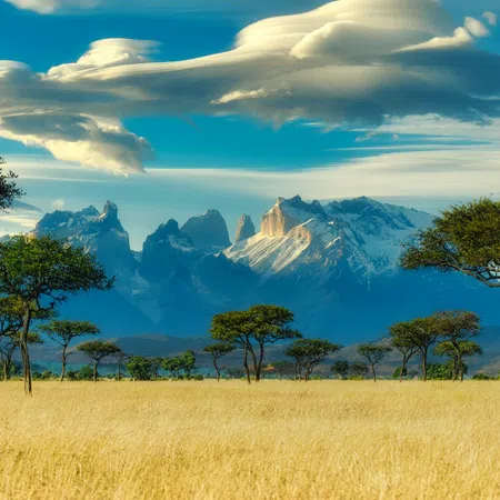 Savannah grassland with scattered acacia trees against a backdrop of snowy mountains and dramatic cloud formations.