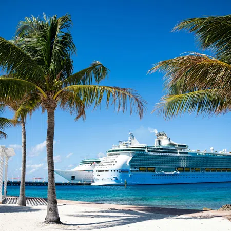 Two large cruise ships docked near a tropical beach with palm trees under a clear blue sky.