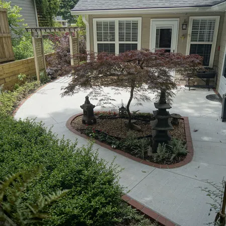 Modern backyard patio with a Japanese maple tree, stone lanterns, and trimmed shrubs around a concrete walkway.