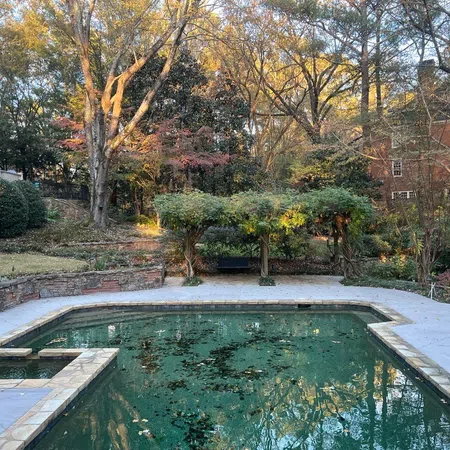 Backyard pool surrounded by stone patio, trees with autumn leaves, and a pergola with green vines in late afternoon light
