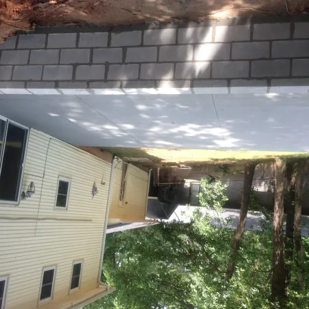 Backyard patio with concrete and paved walkway beside yellow house surrounded by trees and green grass.