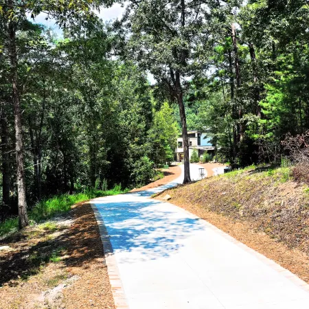 a path with trees on the side