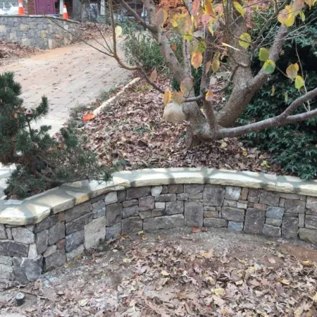 a stone wall with a tree and a stone wall