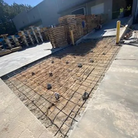 a group of birds on a brick walkway