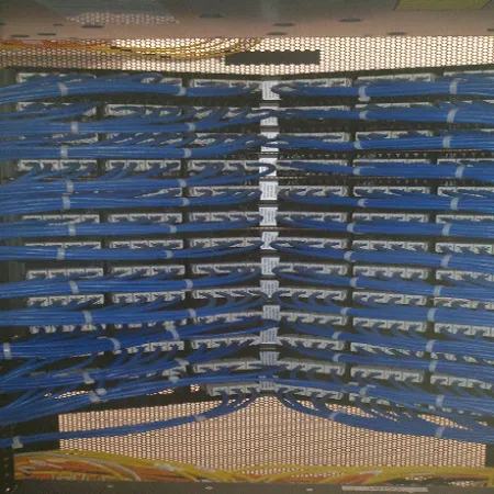 Organized network patch panel with blue ethernet cables neatly connected in a server rack.