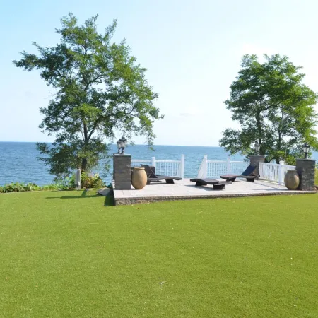 a lawn with a tree and a body of water in the background