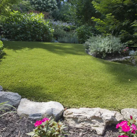 a green lawn with flowers and rocks