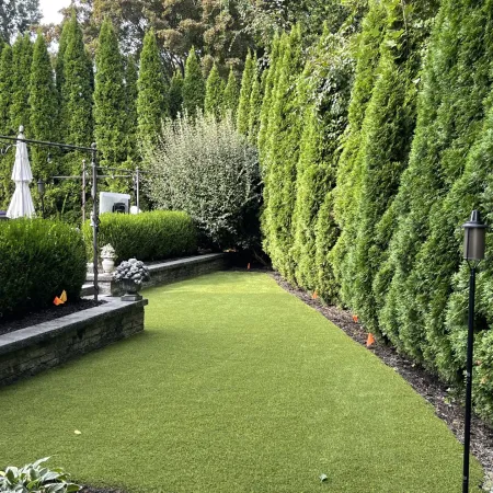 a green lawn with bushes and trees