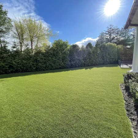 a green lawn with trees and a building