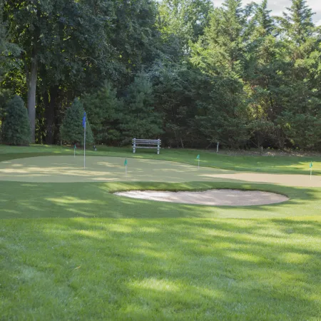 a golf ball on a green golf course
