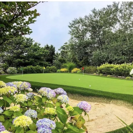 a garden with flowers