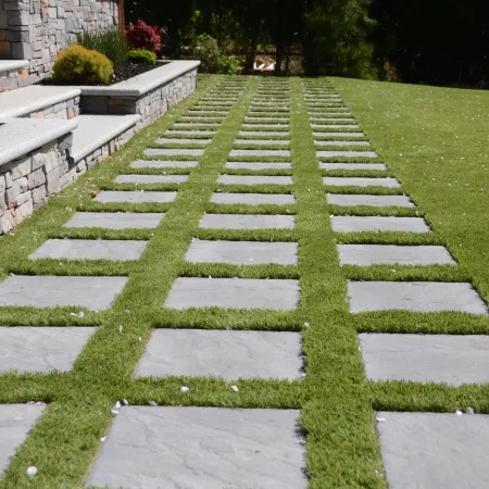 a stone pathway with grass and trees
