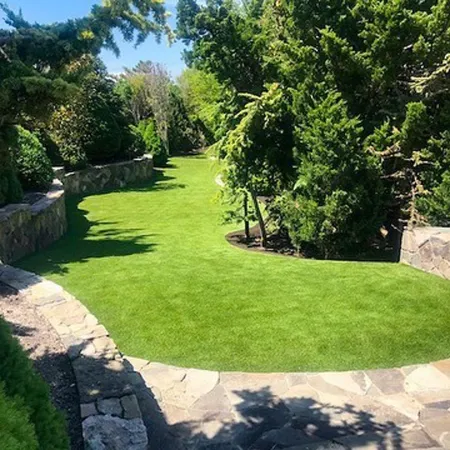 a large green lawn with trees