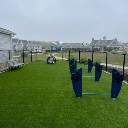 a group of blue and white objects on a grass field