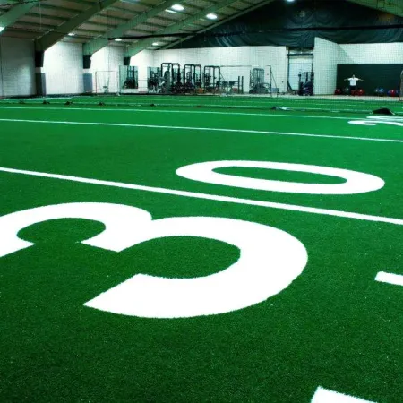 a football field with a white line