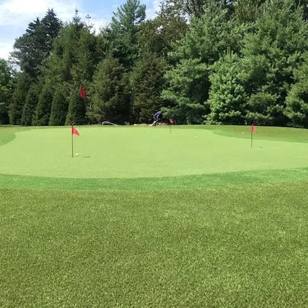 Golf putting green with three red flags and surrounding trees on a sunny day.