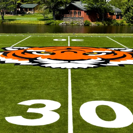 a football field with a painted football field and a house in the background