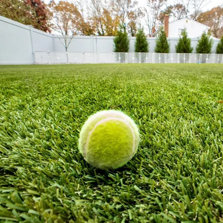 a tennis ball on the grass