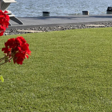 a green lawn with flowers