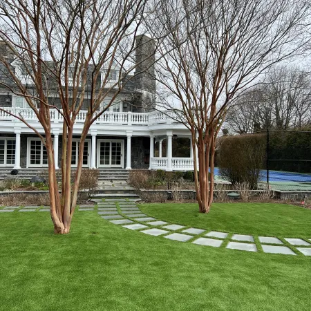 a house with trees and grass