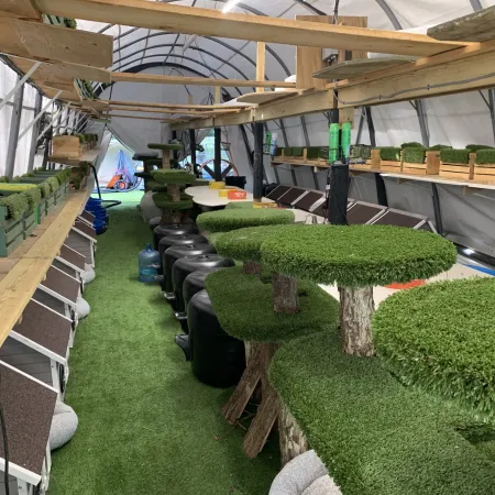 a large indoor garden